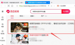 西瓜视频网页,短视频新潮流，轻松畅享精彩内容